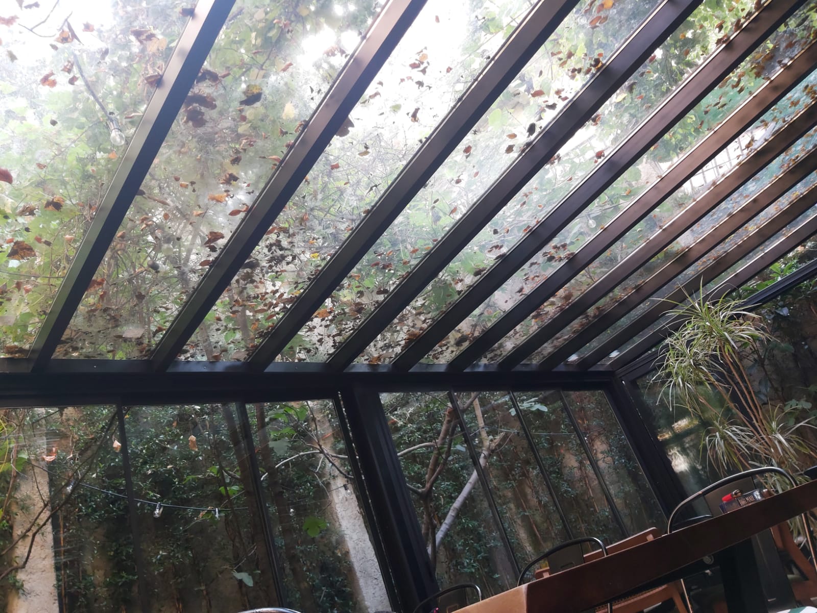Cam Tavan Sistemleri Kasva Pergola Tente ve Gölgelendirme Sistemleri